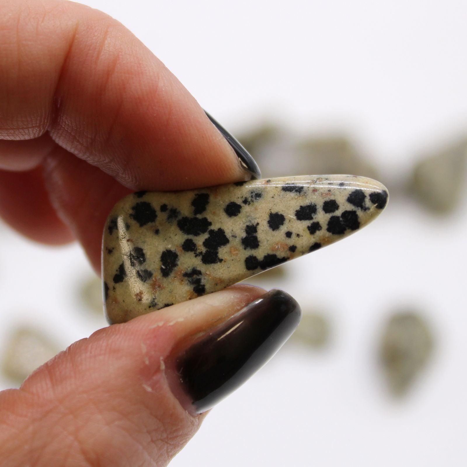 Pierres Roulées Jaspe Dalmatien M (24 Pcs)